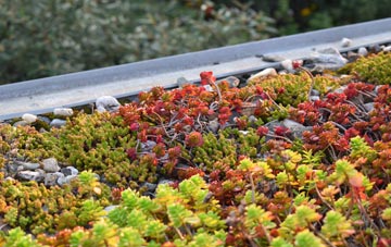 the cost of South Bromley green roof installation