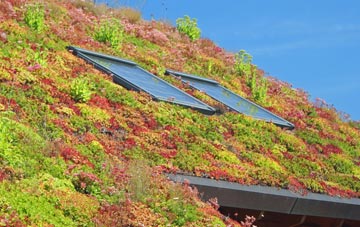 South Bromley living roof systems