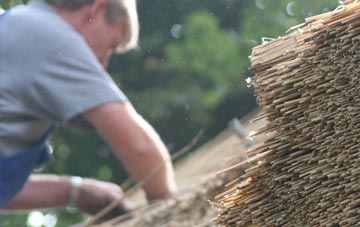 professional South Bromley thatchers